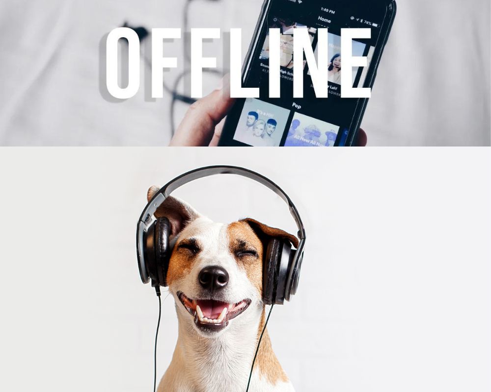 Aplicación para oír música sin internet 
