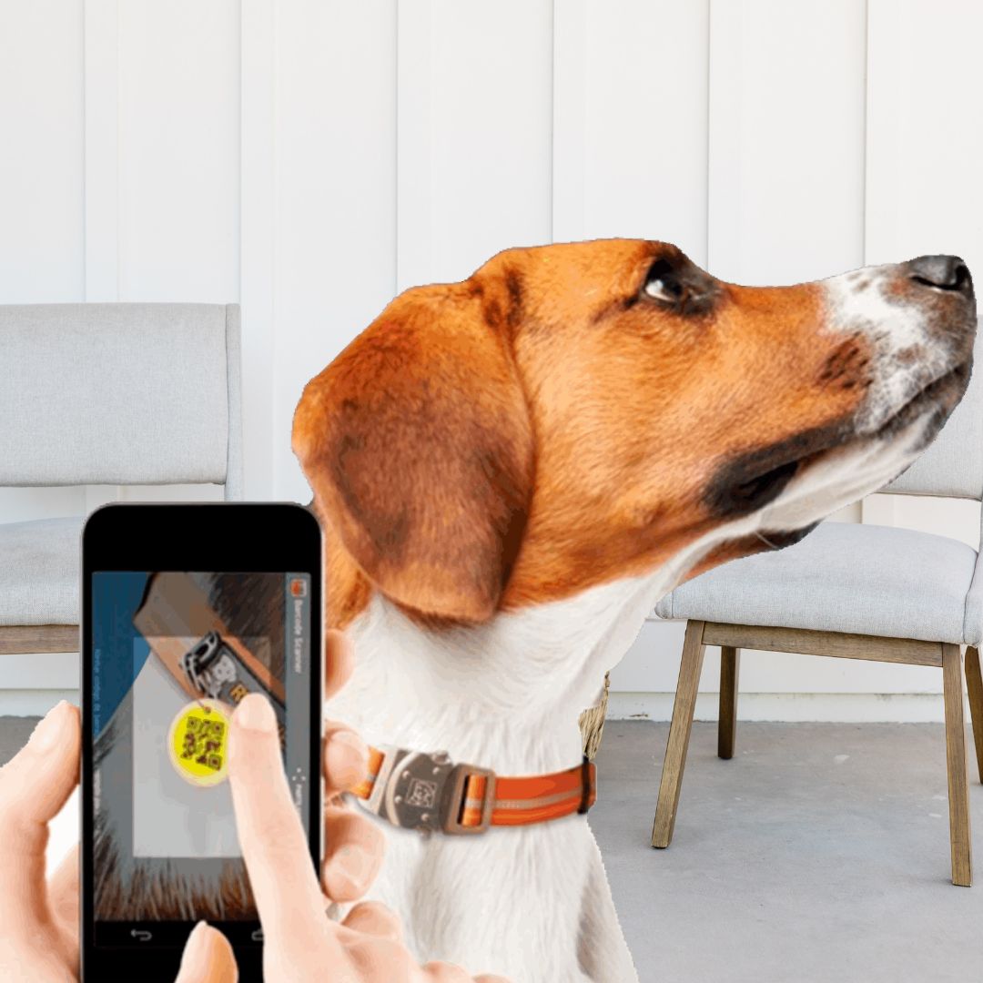 Aplicación para Cuidar de tu Mascota